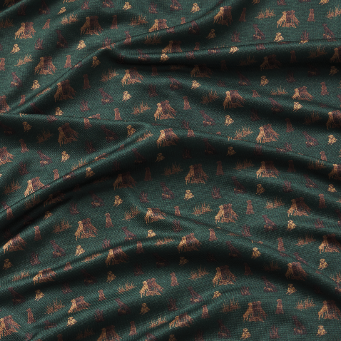 Dark Green Labs | Details